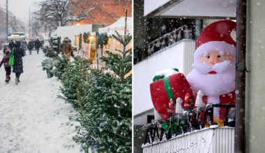 Snöchanserna för julen