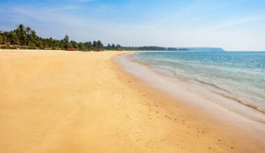 Badvakter räddade svensk i Goa | Sverige