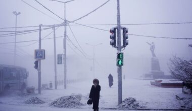 Köldknäpp i Sibirien – ned till minus 55