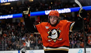 Anaheim föll i Leo Carlssons frånvaro