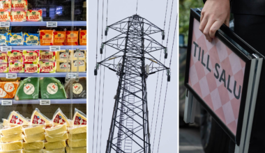 Allt du behöver veta • Billigare mat • Sänkt skatt