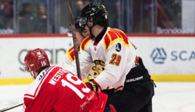 Axel Andersson klev av i Brynäs förlust mot Timrå | SHL
