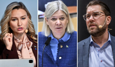 Nollvision och hårdare lagar – partiledarna reagerar efter julmorden