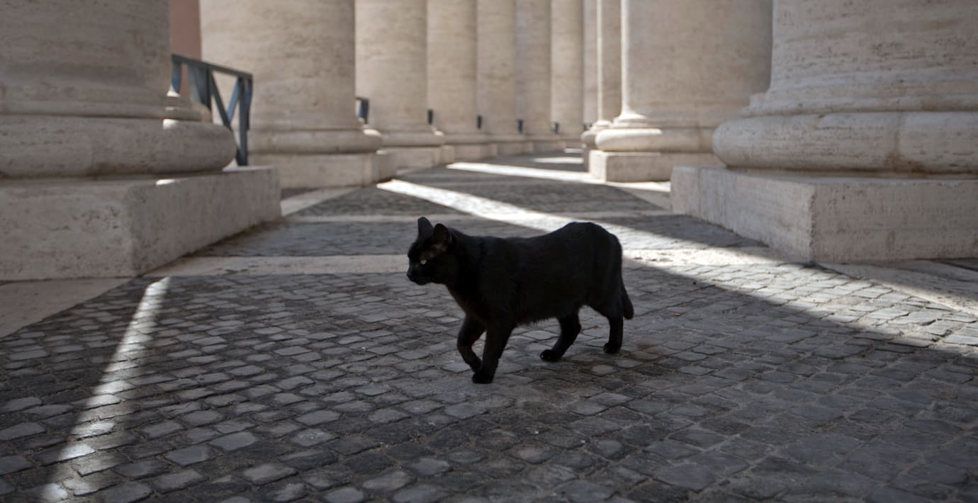 Litauisk katt föreslås ha sista röst i mediestriden