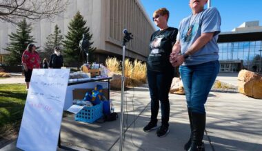 Sparade 191 lik – uppgörelse i rätten