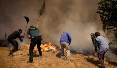 Årets extremväder förstärktes av klimatförändringar - SvD