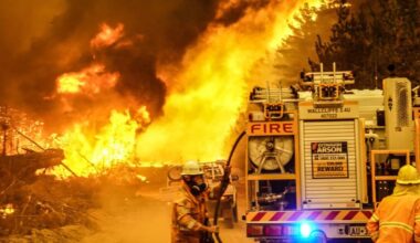 Skogsbränder rasar i Australien – för sent att fly