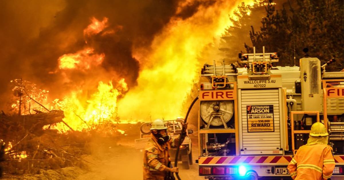 Skogsbränder rasar i Australien – för sent att fly