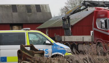 ”Det gör ont att se – Öland måste stå upp för djuren” – Ölandsbladet