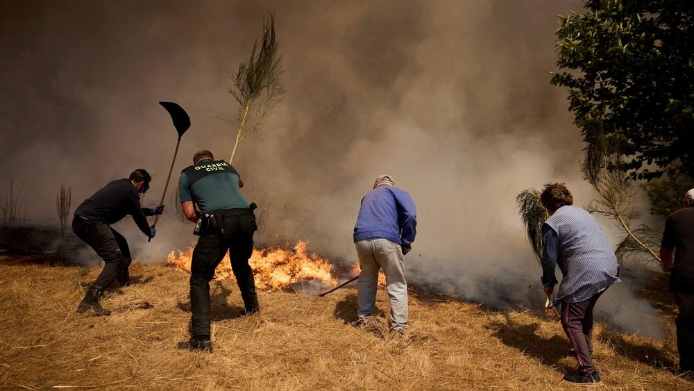 Årets extremväder förstärktes av klimatkrisen - ETC.se