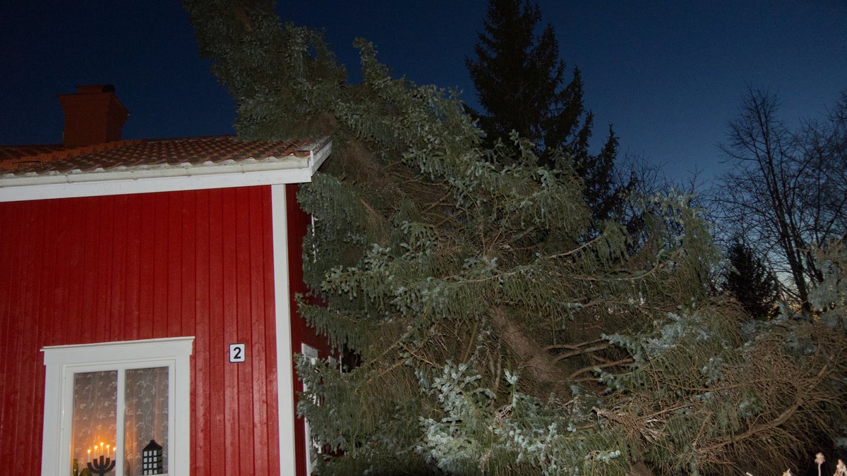 Nadjas stuga skadades i stormen: ”Vet inte hur allvarligt det är” - Hudiksvalls Tidning