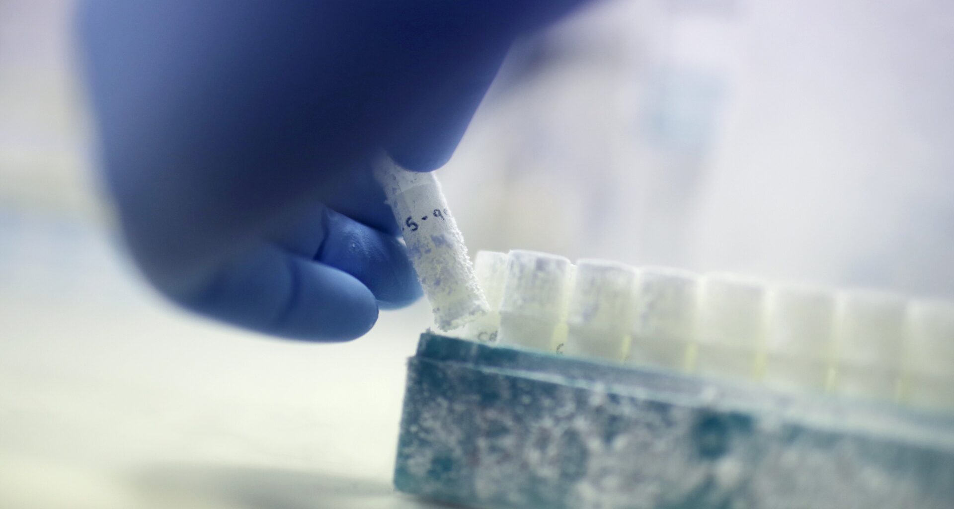 Dansk spermadonator kopplad till livshotande cancergen