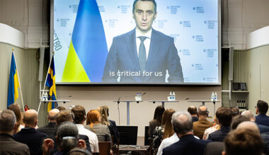 Ukrainas hälsominister Viktor Liashko deltar på konferensen via video.