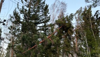 Tusentals strömlösa efter stormen ”Ett slagfält”
