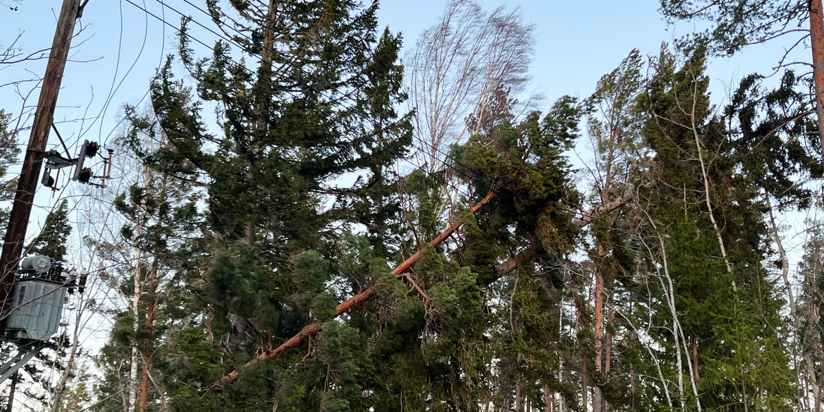 Tusentals strömlösa efter stormen ”Ett slagfält”