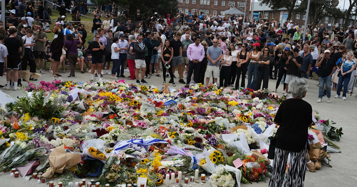 Terrordådet i Sydney visar att mer behöver göras för att bekämpa antisemitism – Ahmed al-Ahmed ett ljus i mörkret