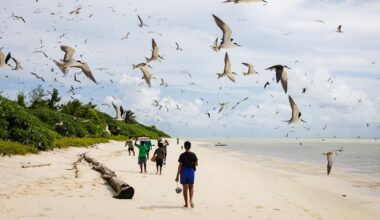 USA betalar miniland för att ta emot migranter