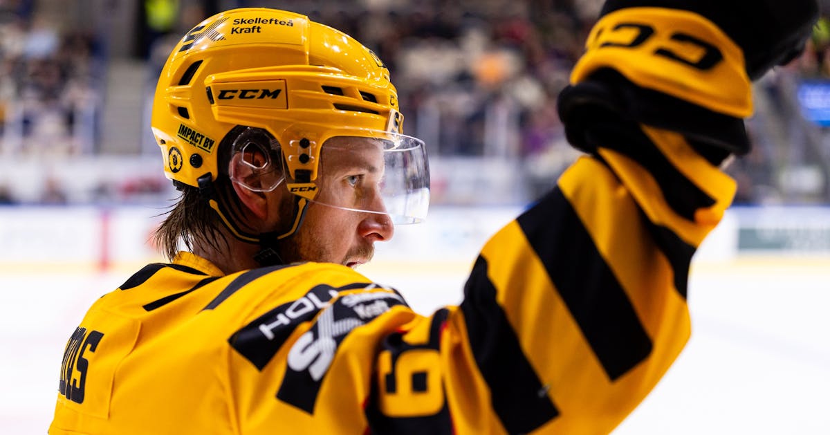 Poängsuccén – jagar SHL-rekordet - Västerbottens-Kuriren