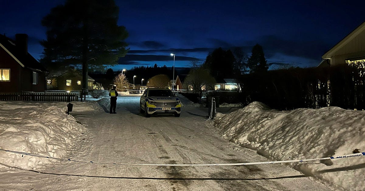 Stor polisinsats i Boden – personer förda till sjukhus