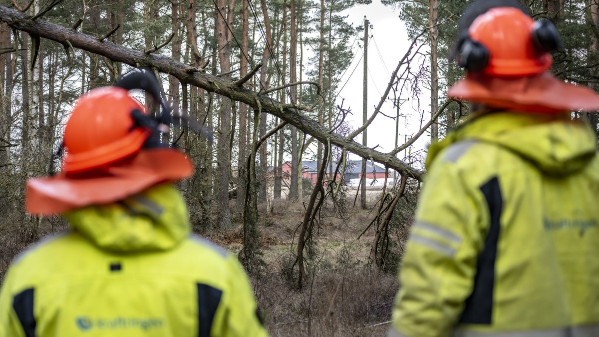 Man död i arbetsplatsolycka – röjde ledningar i stormen – Sundsvalls Tidning