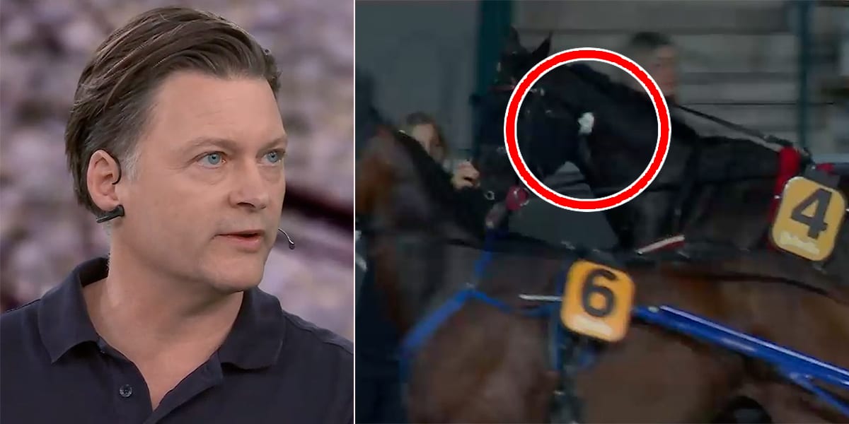 Svensk Travsports domarchef Erik Adielsson.