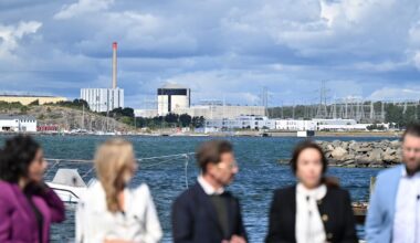 Waters har fel om ny kärnkraft, skriver Henrekson och Nilsson