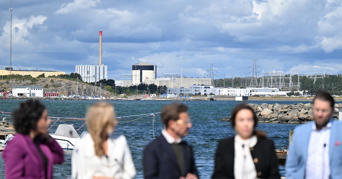 Waters har fel om ny kärnkraft, skriver Henrekson och Nilsson