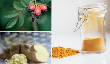 Det kan hjälpa vid artros – Barometern-OT