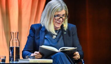 Inga lik i lasten, men stendött ändå - SvD