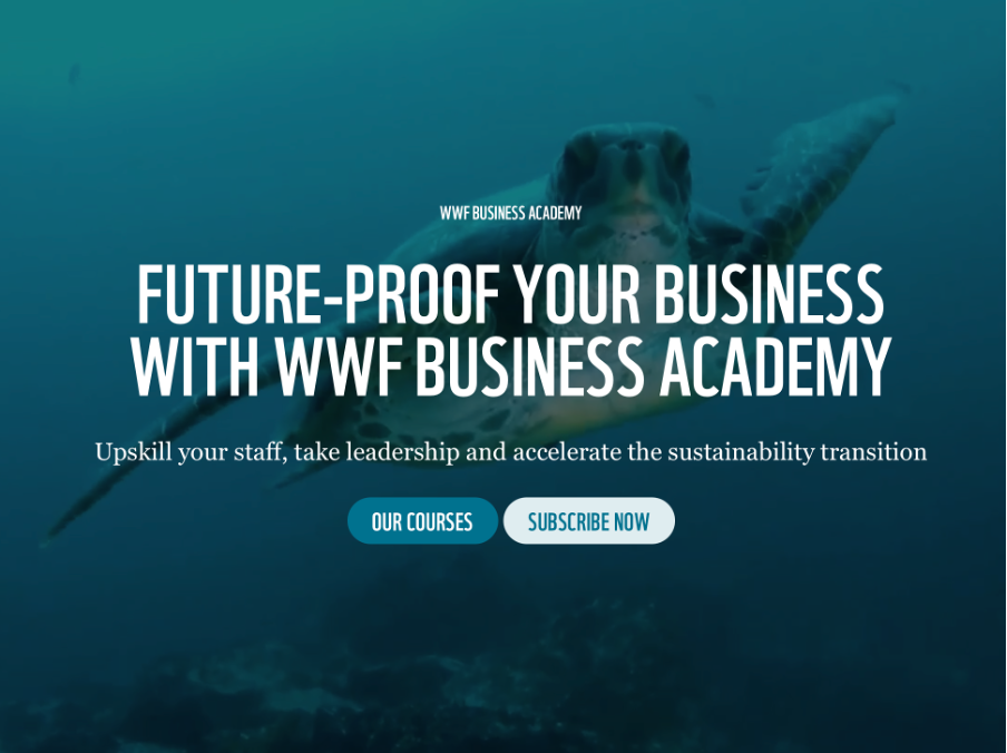 WWF:s Business Academy stärker företagsaffärer