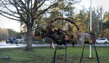 Julbocken i Fole brann ner: ”Fruktansvärt tråkigt”