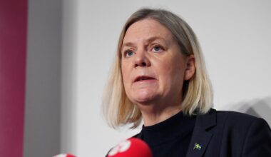 S vill ingå tioårspakt med M för att krossa gängen