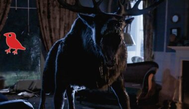 Här är årets bästa filmer – och den allra sämsta - UNT