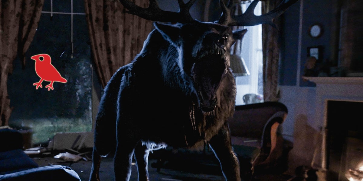 Här är årets bästa filmer – och den allra sämsta - UNT