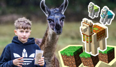 ”Minecraft”-laman Adrian i verkligheten