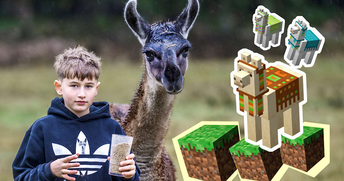 ”Minecraft”-laman Adrian i verkligheten
