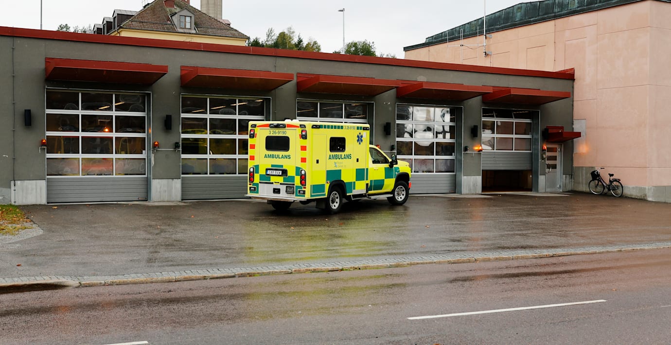 26-åring erkänner attack med basebollträ – dagar före ambulansmordet