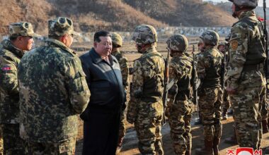 Nordkoreanska soldater har röjt minor i Ryssland