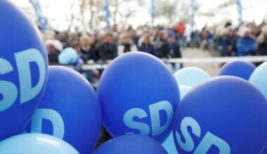 SD-politiker avgår efter nazistavslöjande