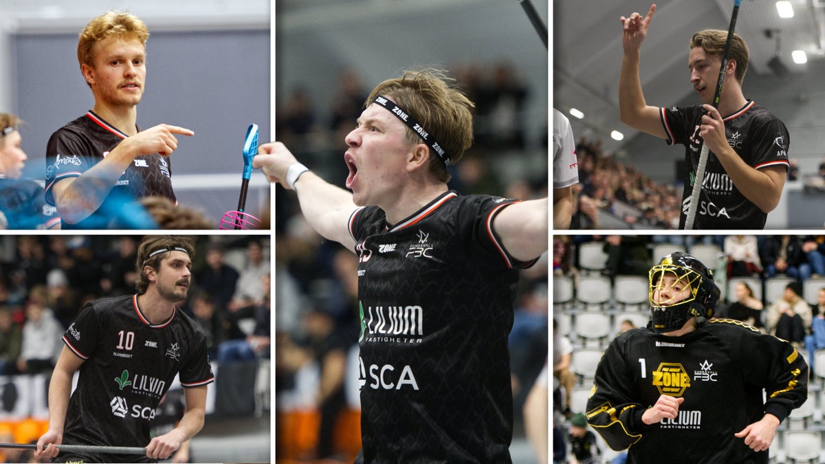 Från elektriker till VVS-montör – här är spelarnas jobb – Sundsvalls Tidning