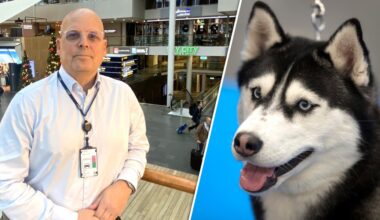 Arlanda öppnar gratis hundparkering nyårsafton