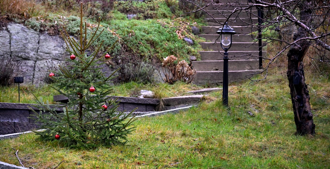 För många blir det ingen vit jul i år