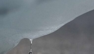 ”Exempellöst” värmerekord i Arktis – Barometern-OT