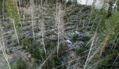 Kraftigt snöfall försenar för strömlösa