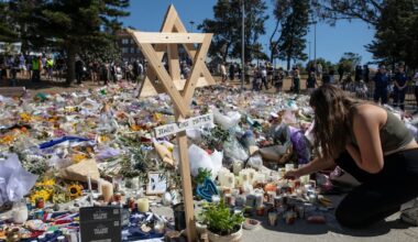 ”Alla wokemänniskor spelar dem i händerna” - SvD