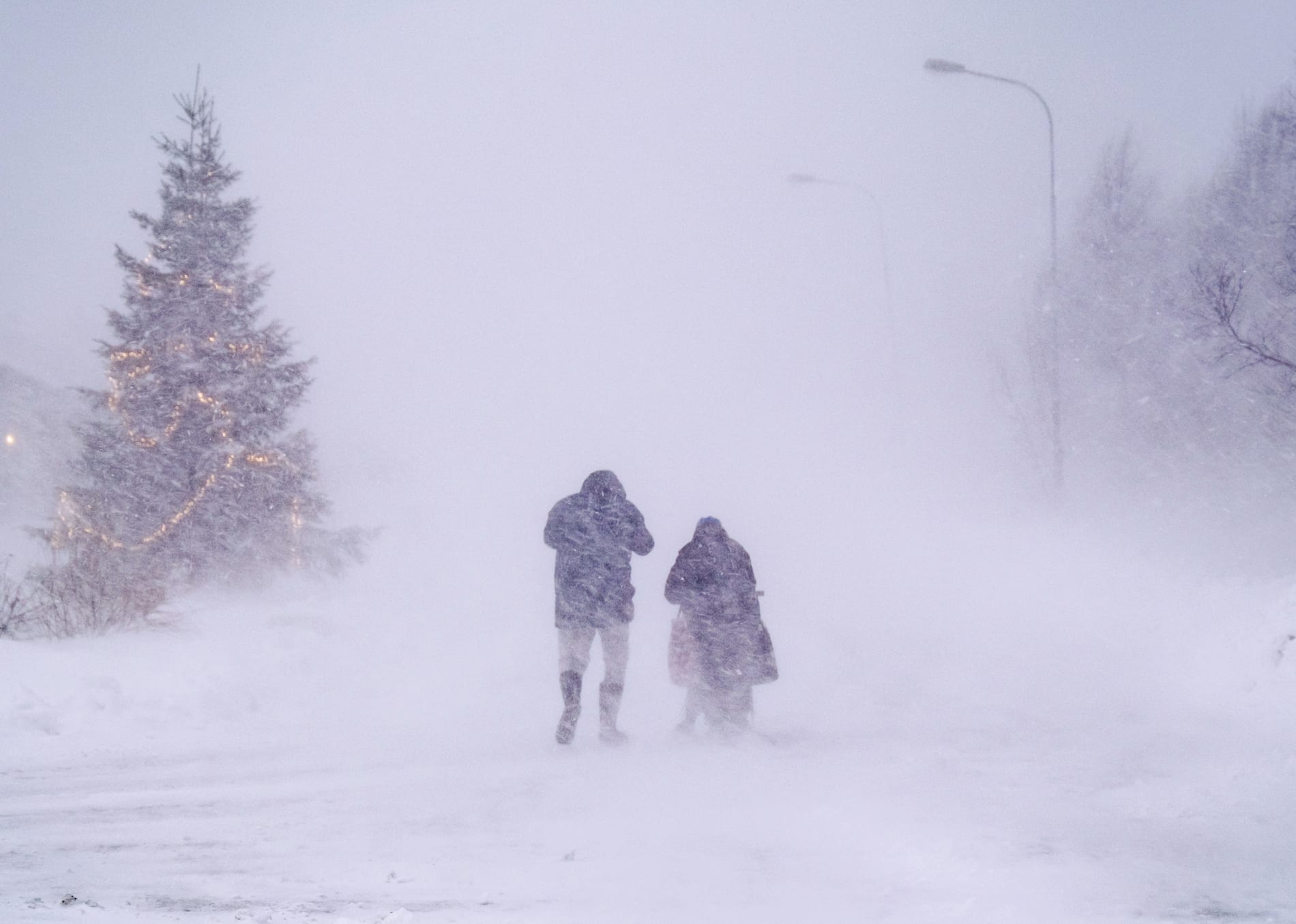 En halv meter snö kan falla. Arkivbild från stormen Johannes. 