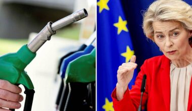 EU kan flytta fram bensinförbudet fem år