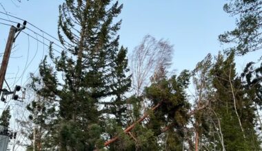 Tusentals strömlösa efter stormen ”Ett slagfält” - Västerbottens-Kuriren