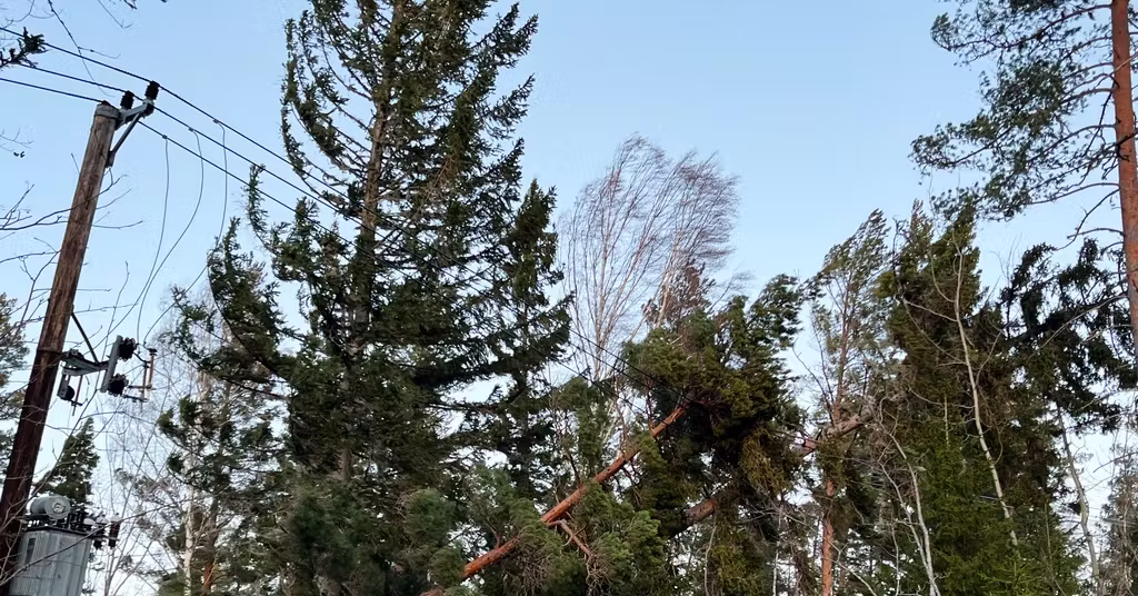 Tusentals strömlösa efter stormen ”Ett slagfält” - Västerbottens-Kuriren