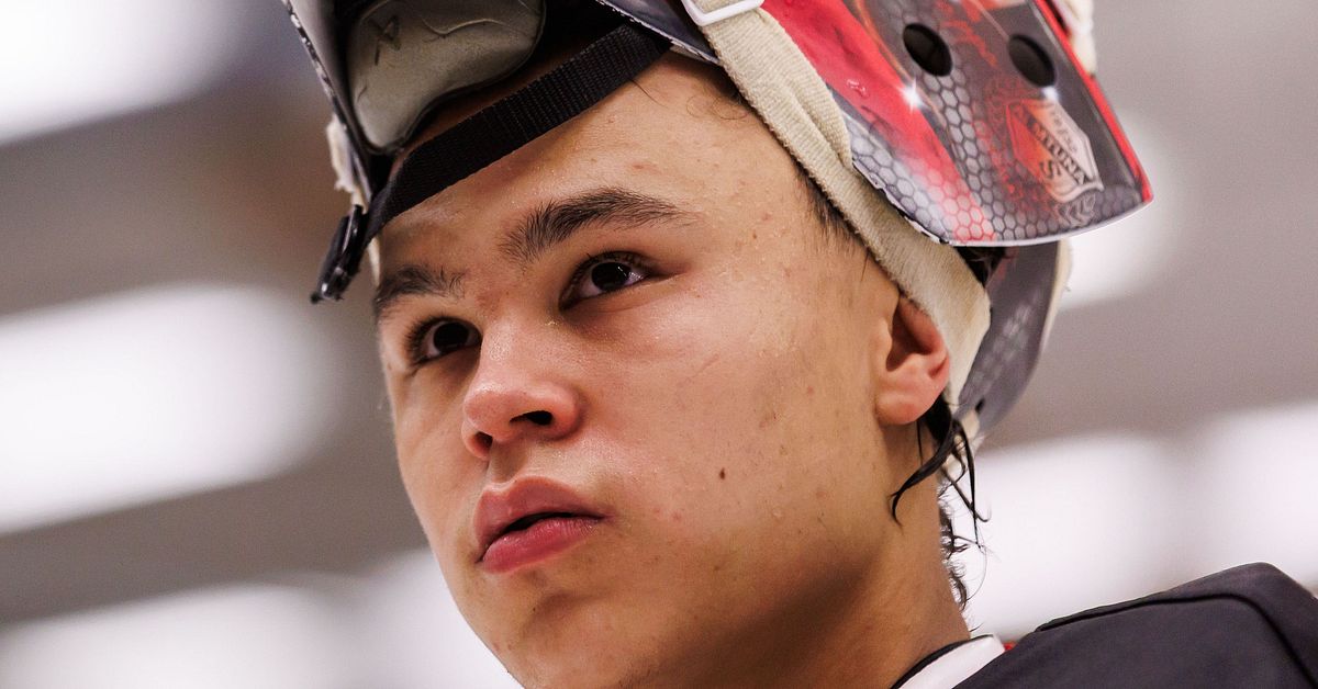 Ishockey: Herman Liv och Love Härenstam målvakter i JVM-truppen